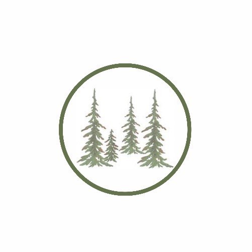 A Pith Beyond the Pines Logo